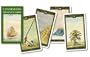 Lenormand Oracle