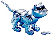 Teksta Kitty