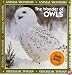 The Wonder of Owls (Animal Wonders)