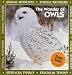 The Wonder of Owls