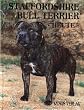 Staffordshire Bull Terrier heute
