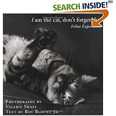 I Am the Cat, Don't Forget That: Feline Expressions