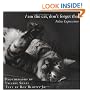 I Am the Cat, Don't Forget That: Feline Expressions