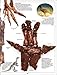 Dinosaur (DK Eyewitness Books)