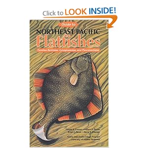 Bothidae