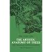 The Artistic Anatomy of Trees