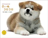 2010子いぬコロコロ(Yama-Kei Calendar)