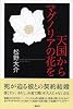天国からマグノリアの花を