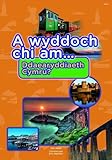 A wyddoch chi am ddaearyddiaeth Cymru?