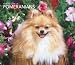 Search : Pomeranians, For the Love of 2009 Deluxe Wall Calendar