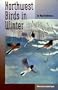Northwest Birds in Winter