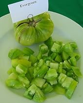 Evergreen 4 Tomato Plants - Perfect for Frying!