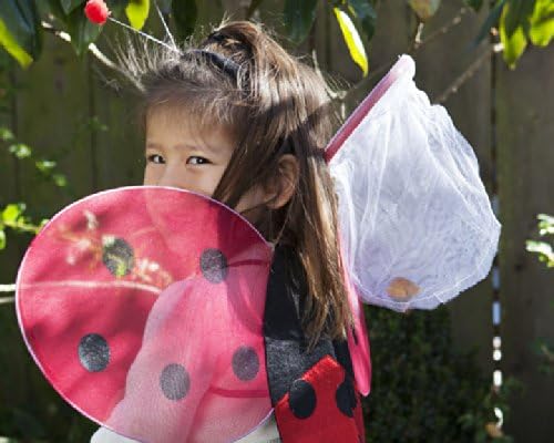 Ladybug Picnic Birthday Party Package
