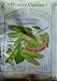 Renee's Edamame Soy Beans Seeds