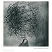 Roger Ballen: Shadow Chamber