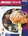 Visible Human Brain Anatomy Kit