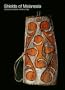 Shields of Melanesia