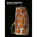 Shields of Melanesia