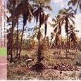 Seychelles: Forgotten Music of the Islands