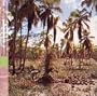 Seychelles: Forgotten Music of the Islands