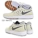 Nike SB Free Skate Shoe - Mens Sail/White/Cool Grey, 9.0