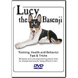 Lucy the Basenji - Training, Health and Behavior Tips & Tricks