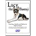Lucy the Basenji - Training, Health and Behavior Tips & Tricks