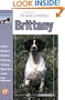 The Guide to Owning a Brittany