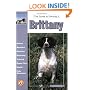 The Guide to Owning a Brittany