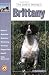 The Guide to Owning a Brittany