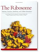 The Ribosome, Structure, Function, Antibiotics, and Cellular Interactions