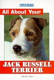 Barron's All About Your Jack Russell Terrier (All about Your Pet)
