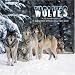 Wolves 2009 Wall Calendar