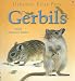 Gerbils: with Internet Links