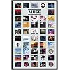 Muse - Music Poster (Covers) (Size: 24" x 36")