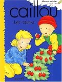 Caillou-les saisons