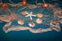 15 X 9 Ft New Fish Nets, Fishing Net, Netting, Starfish, Shells, Floats, Decorative Nautical Decor