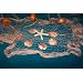 15 X 9 Ft New Fish Nets, Fishing Net, Netting, Starfish, Shells, Floats, Decorative Nautical Decor