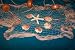 10 X 10 Fishing Nets Fish Netting Seashells