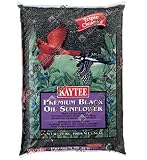 KAYTEE PRODUCTS INC. 100033665 10LB Sunfl OilBird Seed (3 pack)