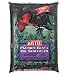 KAYTEE PRODUCTS INC. 100033665 10LB Sunfl OilBird Seed (3 pack)
