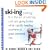 Skiing (Pocket Dictionary)