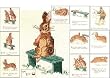 Beatrix Potter The Story of a Fierce Bad Rabbit Cross Stitch Pattern Booklet