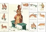 Indoor Furnitures item: Beatrix Potter The Story of a Fierce Bad Rabbit Cross Stitch Pattern Booklet