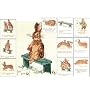 Beatrix Potter The Story of a Fierce Bad Rabbit Cross Stitch Pattern Booklet