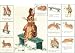 Beatrix Potter The Story of a Fierce Bad Rabbit Cross Stitch Pattern Booklet