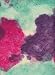 Nepalese Lokta Pulp Collage Paper- 20x30 Inch Sheet