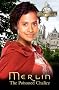Merlin: The Poisoned Chalice (Merlin (older readers))