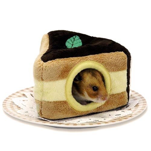 チョコケーキハウス