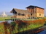 IMAGE OF House on Stilts, Inle Lake, Myanmar, Asia Stretched Canvas Poster Print by Upperhall Ltd, 18x24